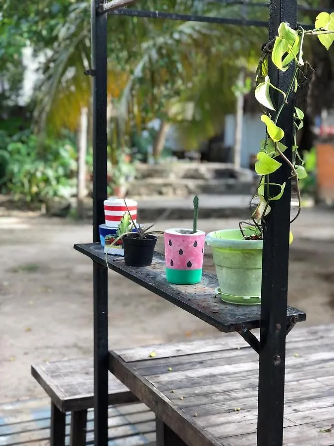 Crucero Tulum B&B 0*,  멕시코