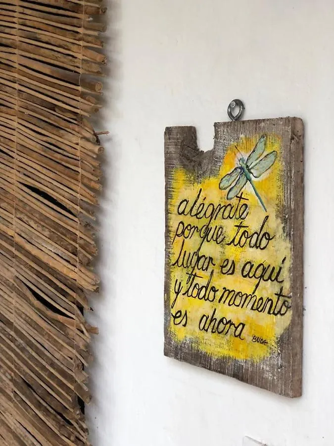 Bed and Breakfast Crucero Tulum Mexiko