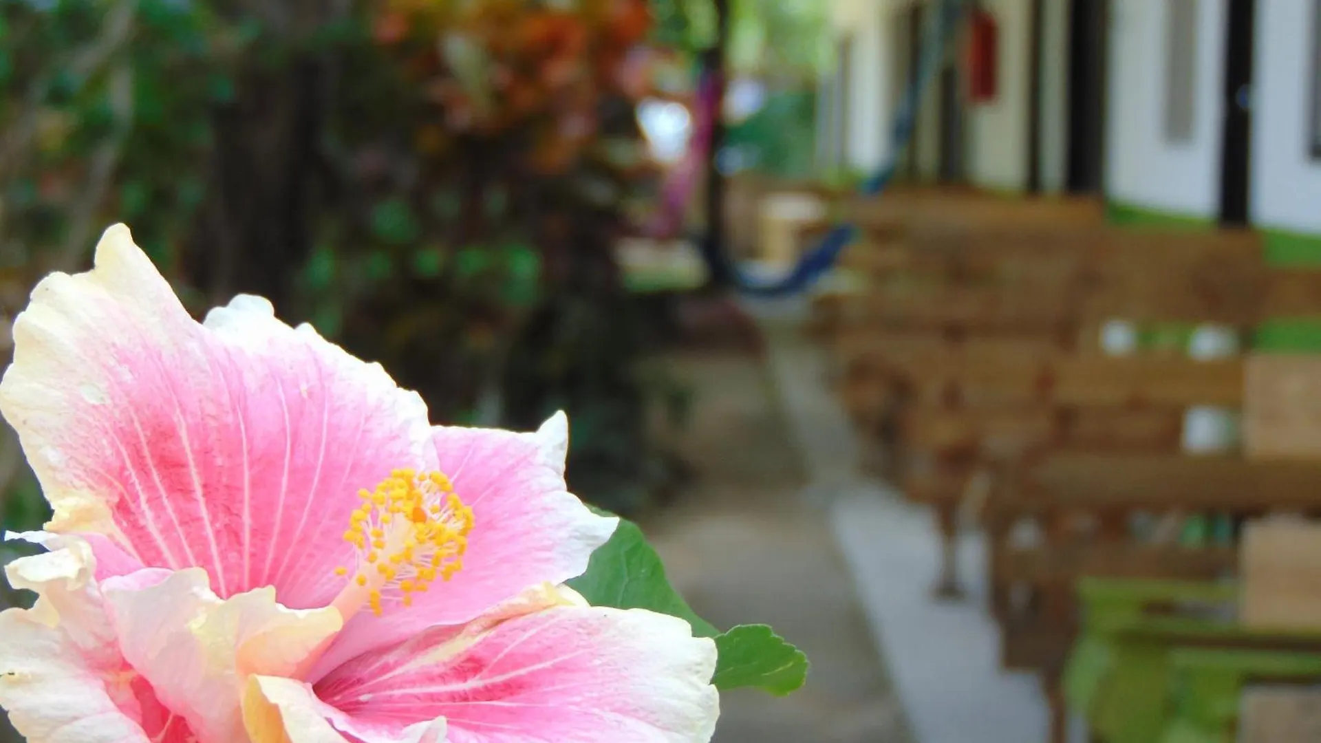 Bed & Breakfast Bed and Breakfast Crucero Tulum